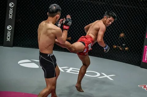 Feel fight