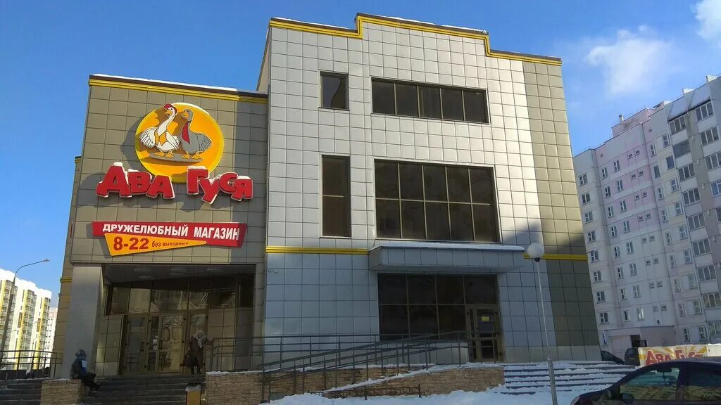 Гусь мусь. Сумасшедший гусь. Гусь и гусыня. Два гуся рядом. Два гуся гомель волотова.