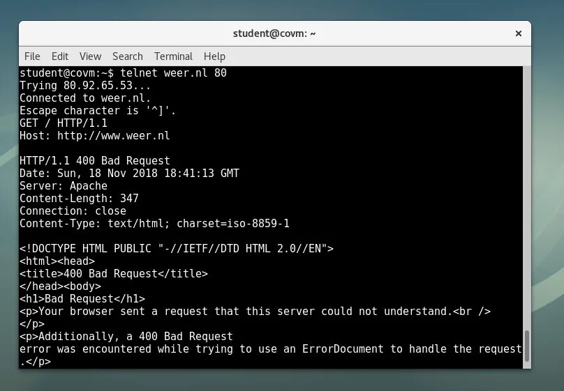 Terminal host