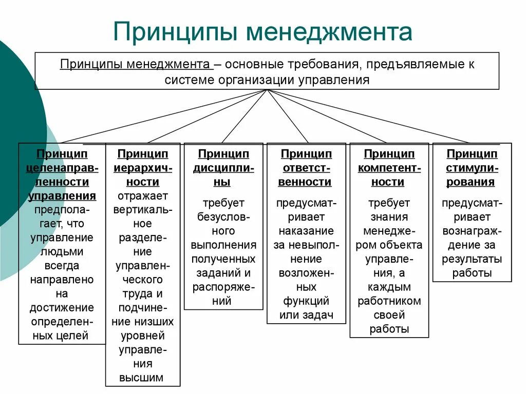 Перечислите группы принципов