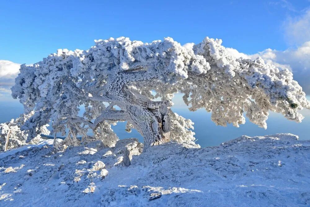 погода петри. ай петри крым зимой. гора альпетри крым. достопримечательности крыма гора ай петри. вид с горы ай петри.