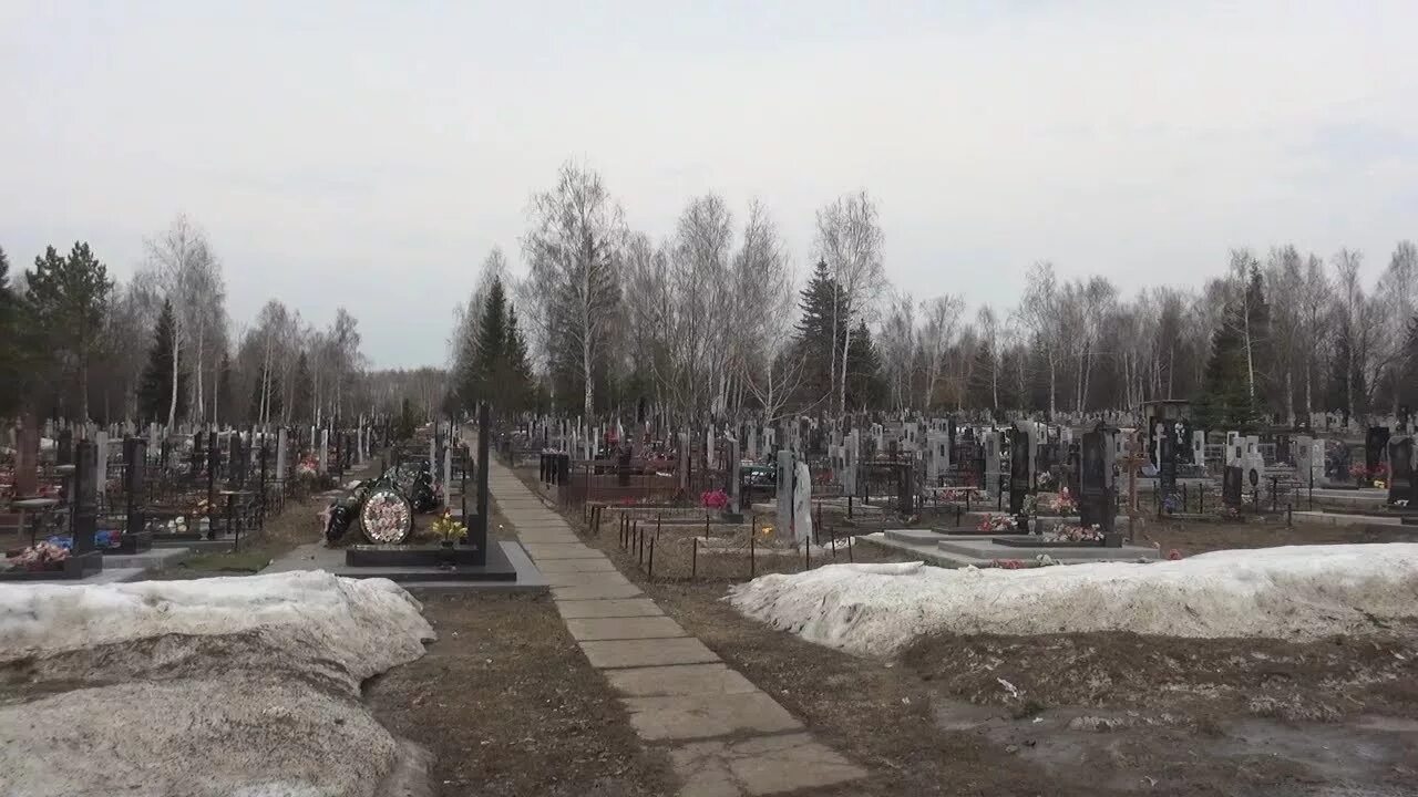 Аллея славы Димитровград кладбище. Городское кладбище Димитровград. Старое кладбище Димитровград. Городское кладбище Ульяновская область Димитровград. Вновь кладбище