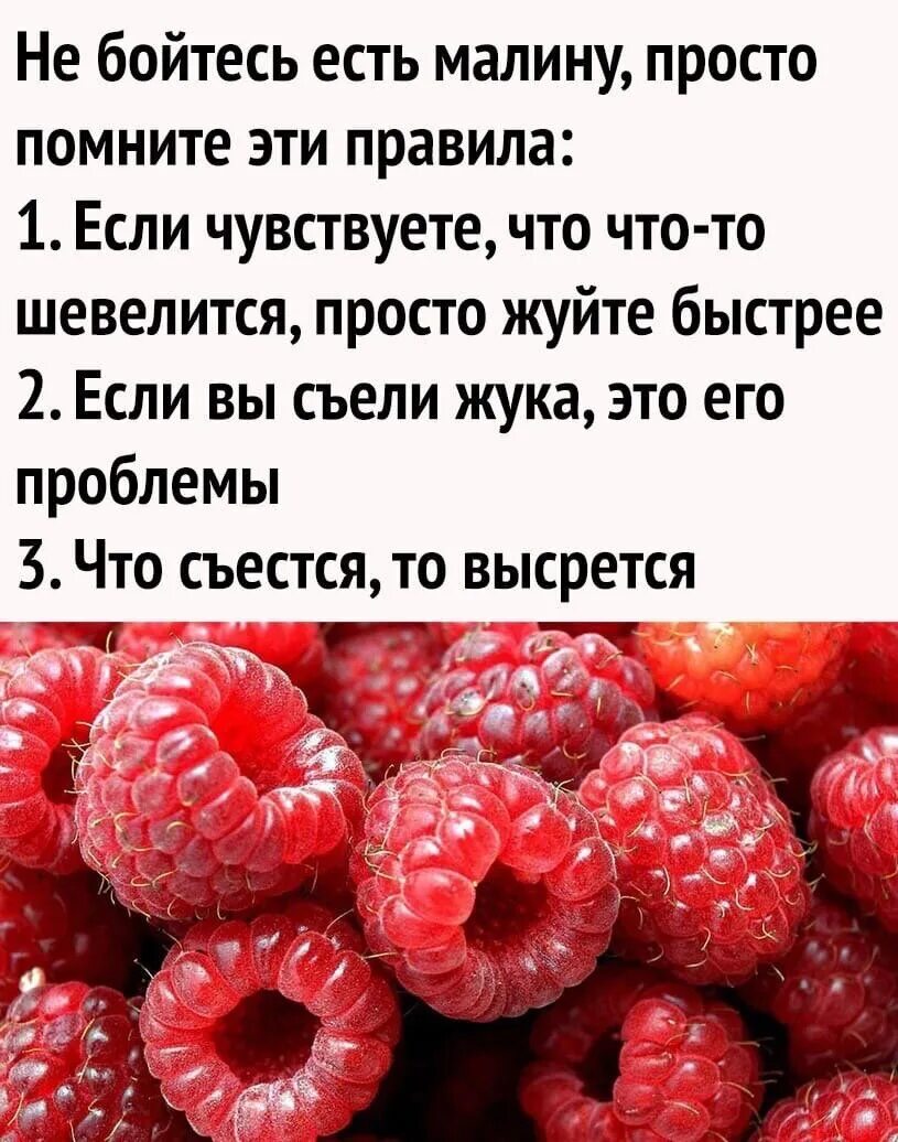 Витамины в ягоде малина. Малина полезные свойства. Сколько можно съесть малины в день. Полезные качества малины. Сколько можно съесть малины в день.