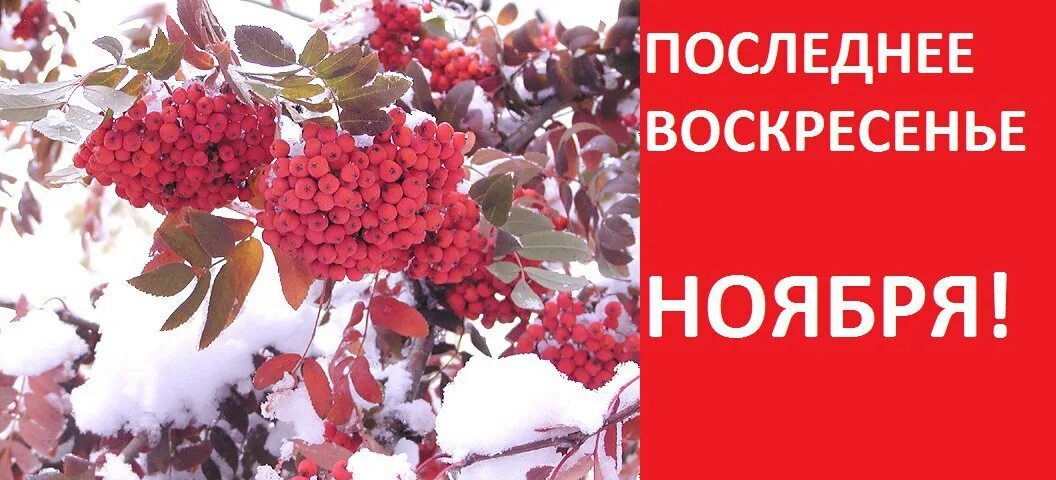 С последним воскресеньем ноября. С последним воскресеньем ноября картинки. С последним ноябрьским воскресеньем. С последним воскресеньем осени.