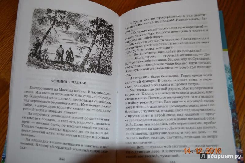 Произведение мещерская сторона. Книга Паустовского Мещерская сторона. Иллюстрации к книге Мещерская сторона. Мещерская сторона книга. Паустовский Мещерская сторона иллюстрации.