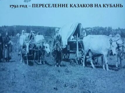 Казаки переселенцы