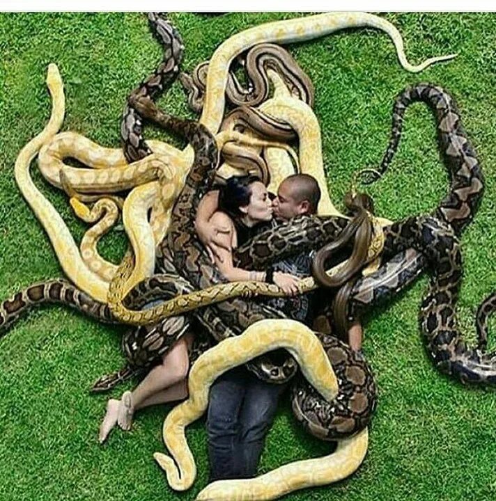 Wonder a see snake