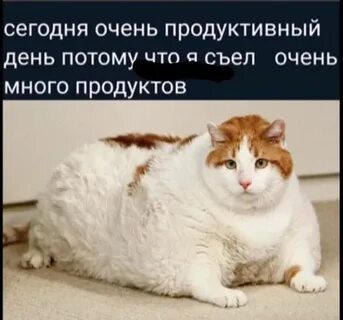 Съел очень много