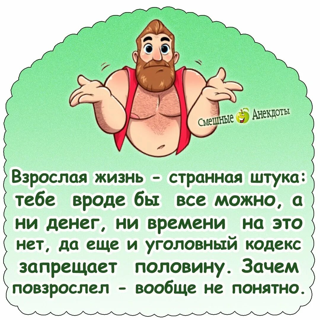 Анекдоты. Смешные анекдоты. Современные анекдоты смешные. Современные шутки. Анекдоты новые 2024