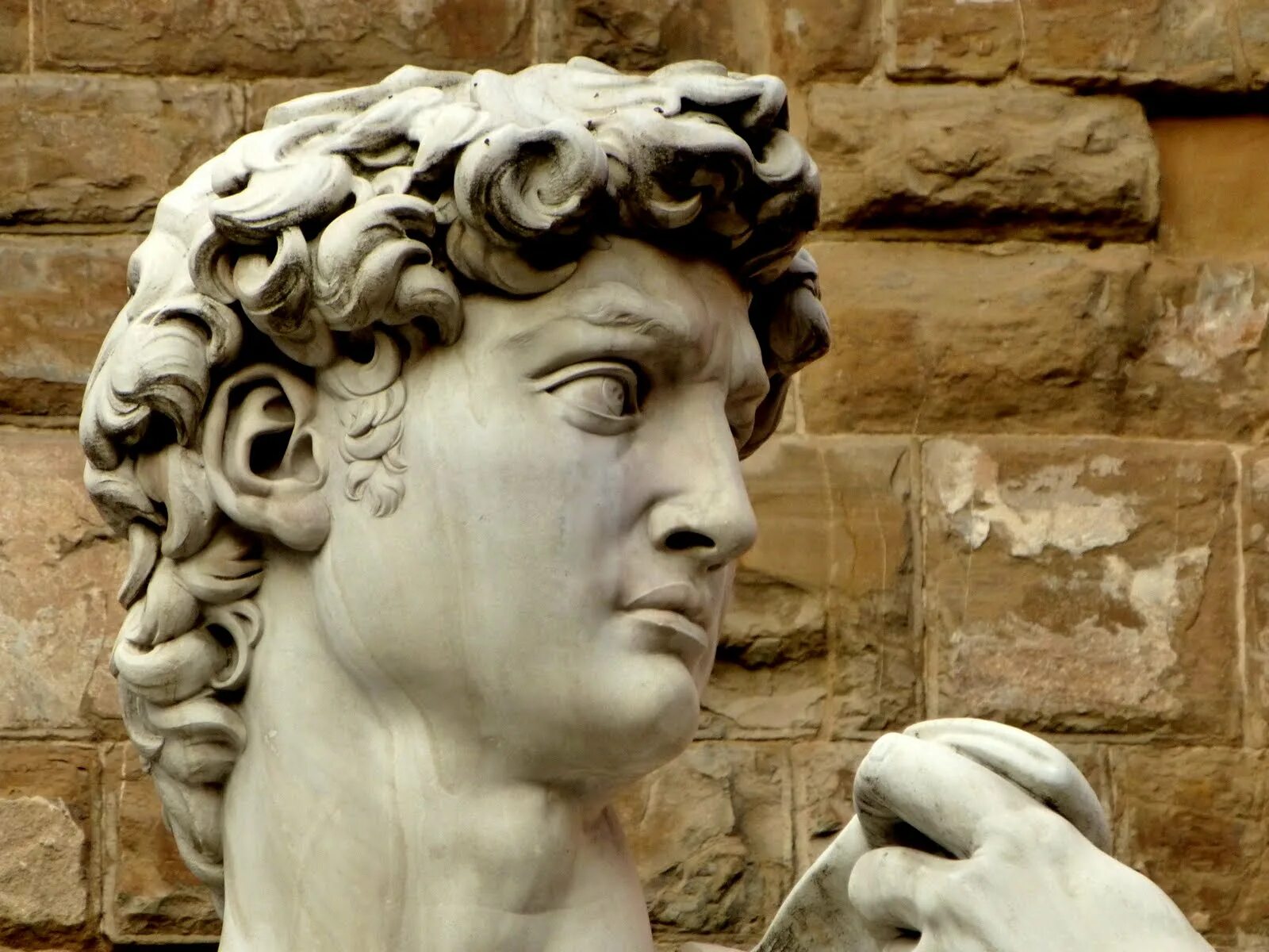 Мессершмидт скульптуры головы. Голова статуи свободы в москве третьяковская галерея. Где статуи головы. Где статуи головы. Каменные истуканы острова пасхи.