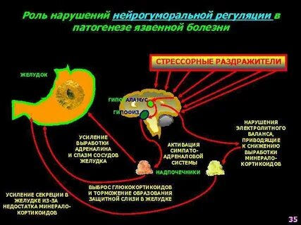Ключевая роль в регуляции частоты