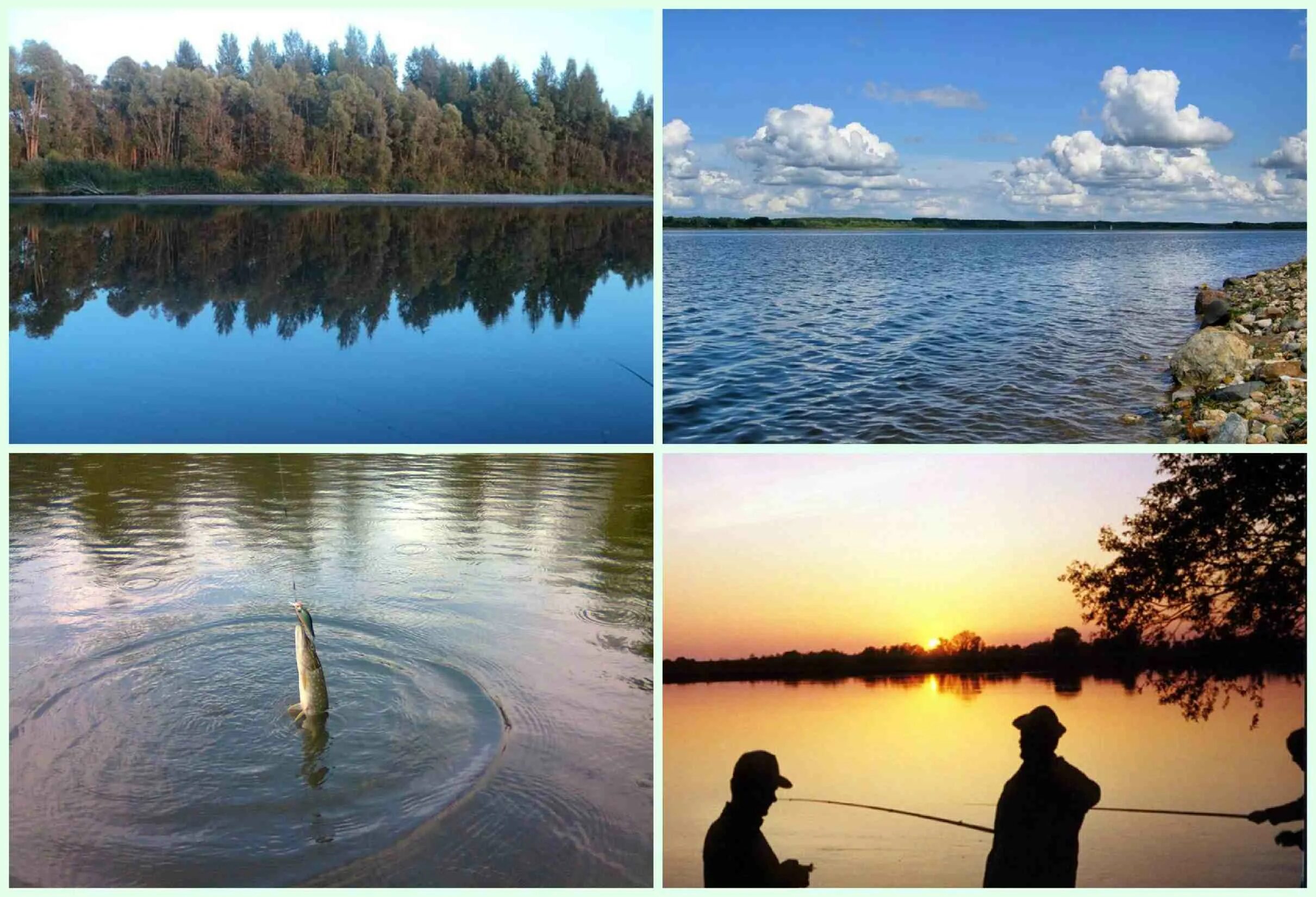 Истринское водохранилище отчеты. Истринское водохранилище рыбалка. Истра водохранилище рыбалка. Рыболовные места в Истре. Истринское водохранилище рыбалка летом.