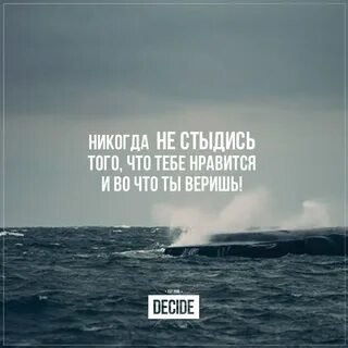 Пословица никогда