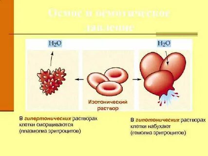 Происходящие в растворах