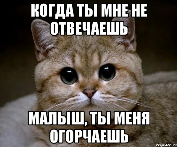 Слишком долго отвечаешь. Почему ты не отвечаешь. ты мне не отвечаешь. почему не отвечаешь. почему ты мне не отвечаешь.