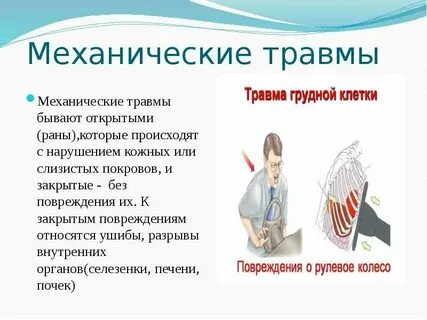 Предохраняет плод от механических повреждений