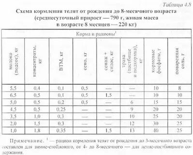 Как кормить телят