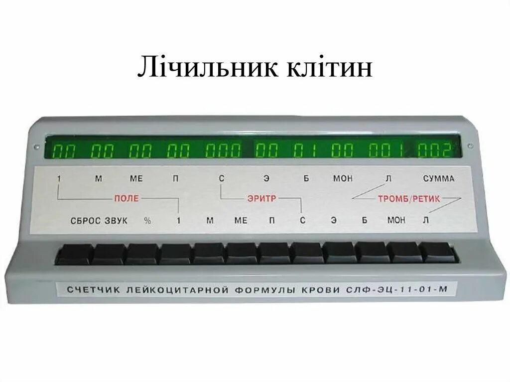 Слф эц. Слф эц