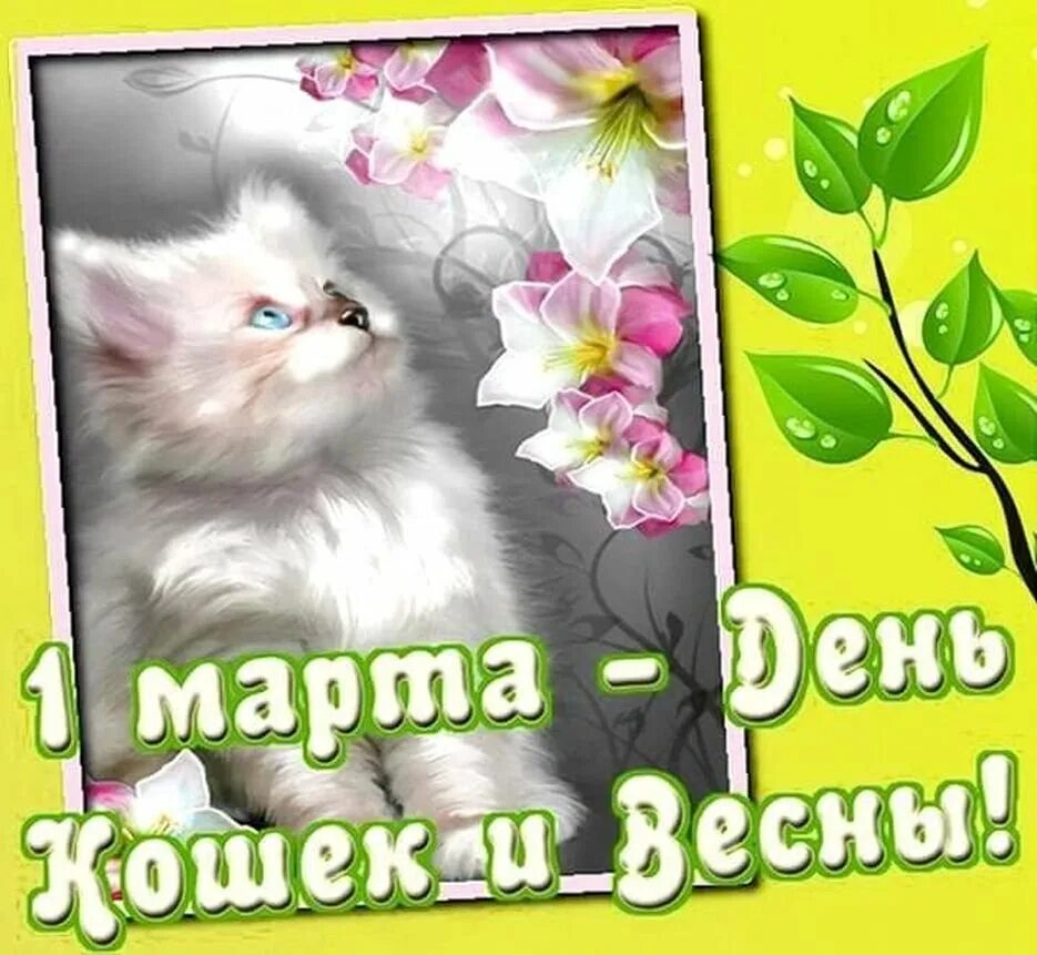 1 день весны день кошек картинки