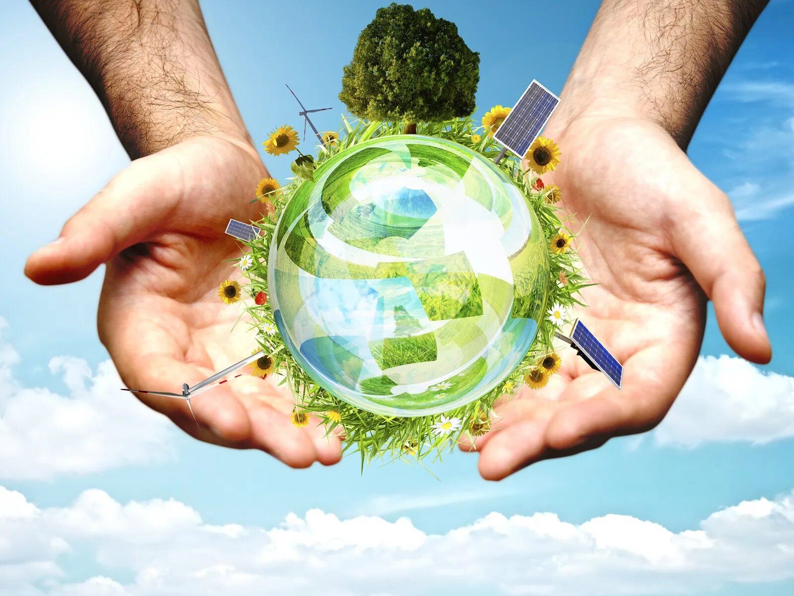 Экология. Современная экология. Природа экология. Экологически чистая Планета. Экологическая безопасность почвы