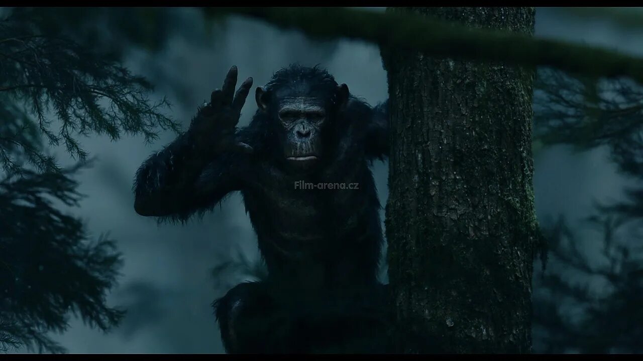 Планета обезьян 2014 качество. Планета обезьян: революция (2014). Восстание планеты обезьян 2014.