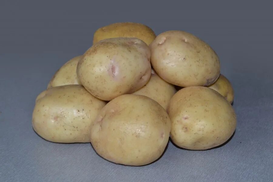 Какие семена картошки. Сорт картофеля Елисеевский.
