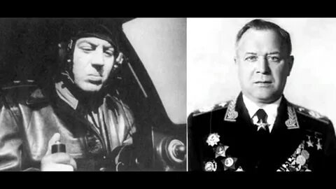 Маршал новика
