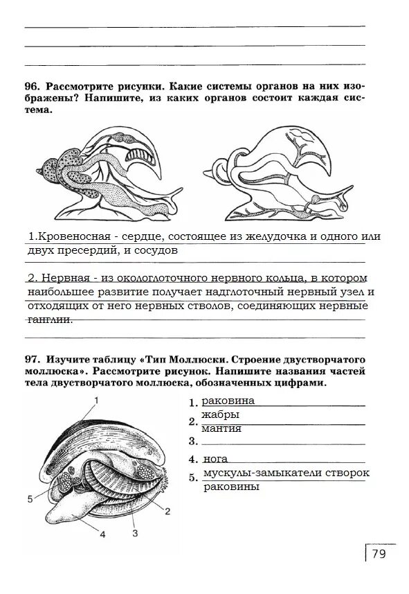 Моллюски контрольная работа. Рабочая тетрадь биология 7 класс моллюски. Рабочая тетрадь по биологии 7 кл Сонин ракообразные. Задания по биологии 7 класс Сонин Сонина. Тест 7 класс биология моллюски с ответами рабочая тетрадь.