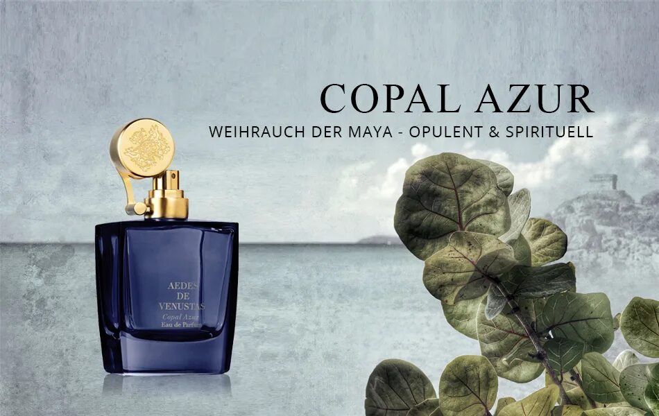 Aedes de venustas мужские духи фото. Copal azur. Духи aedes de venustas. Aedes de venustas copal azur старая версия флакона. Copal azur.