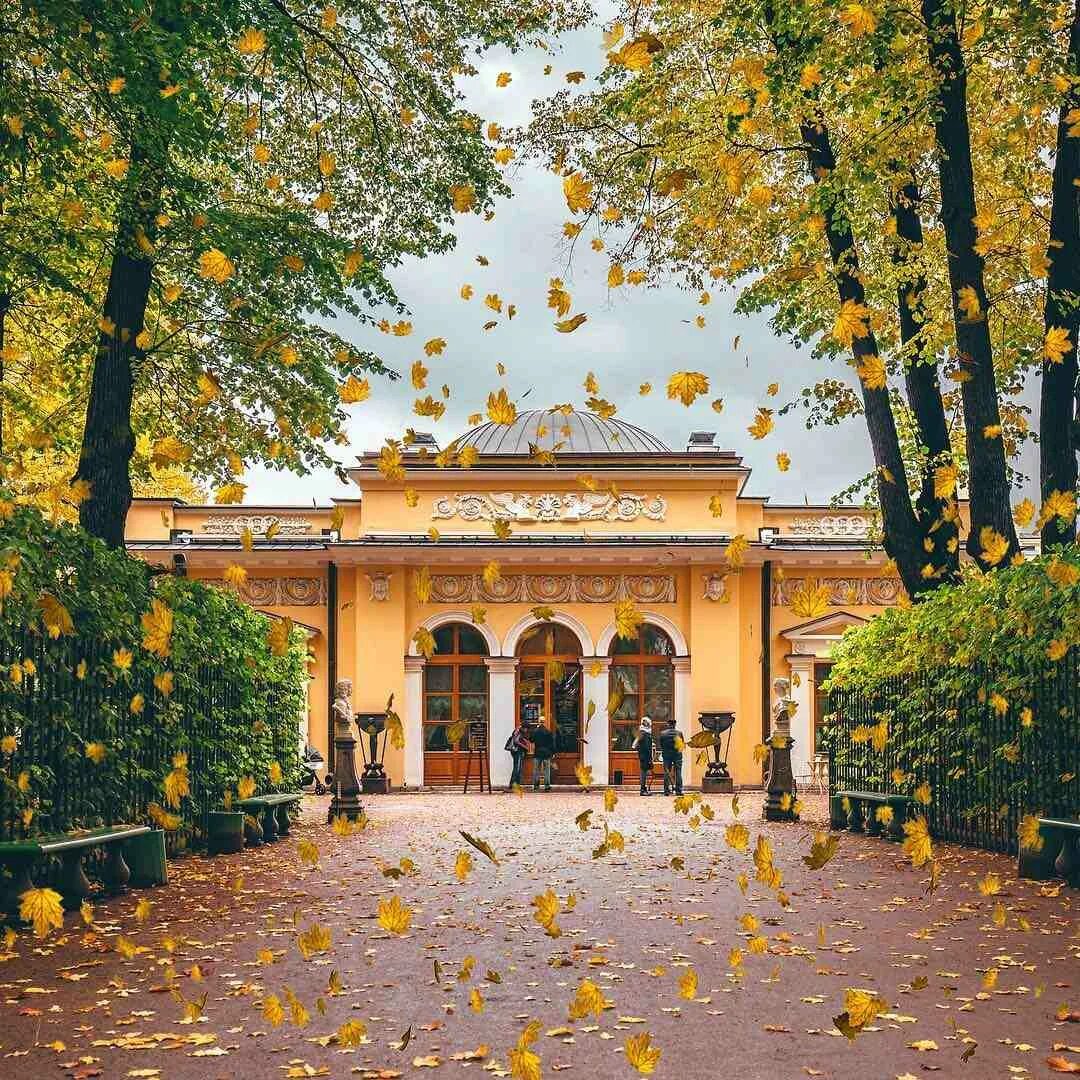Летний сад осенью. Летний сад в Санкт-Петербурге. Летний сад в Санкт-Петербурге осенью. Питер летний сад осенью. Аллеи летнего сада.