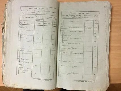 Ревизские сказки вологодского уезда