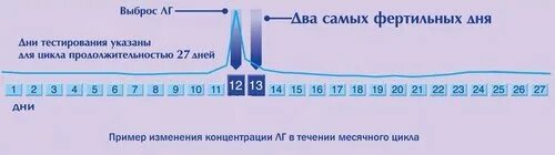 Забеременеть за три дня до месячных