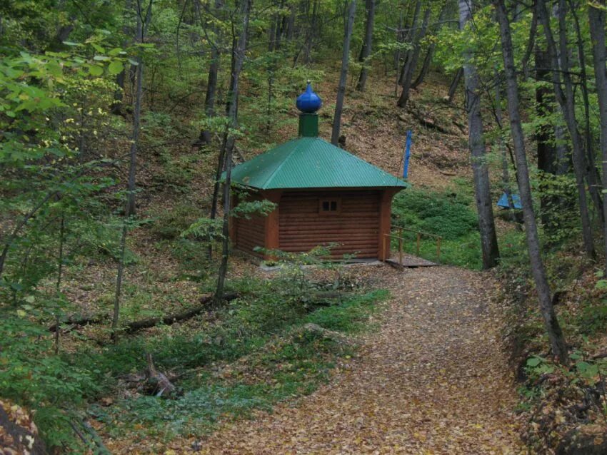 Калужские родники. Святой источник Тихона Калужского. Святые источники Калужской области. Село Кадышевка Ульяновская область. Шумкин Родник.