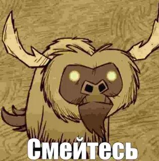 Донт старв бифало