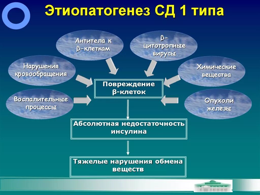 Тема сд. Патогенез сахарного диабета 1. Патогенез сахарного диабета 1 типа. Патогенез сахарного диабета первого типа. Механизм развития сахарного диабета 1 типа.