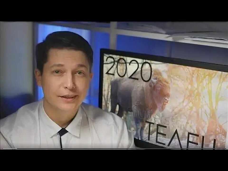 Чудинов телец 2024