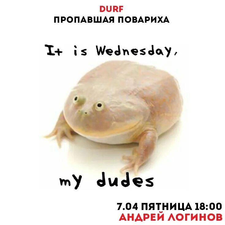 This my friday. Wednesday my dudes. It Wednesday my dudes жаба. Wednesday my dudes лягушка. Its Wednesday my dudes Мем.