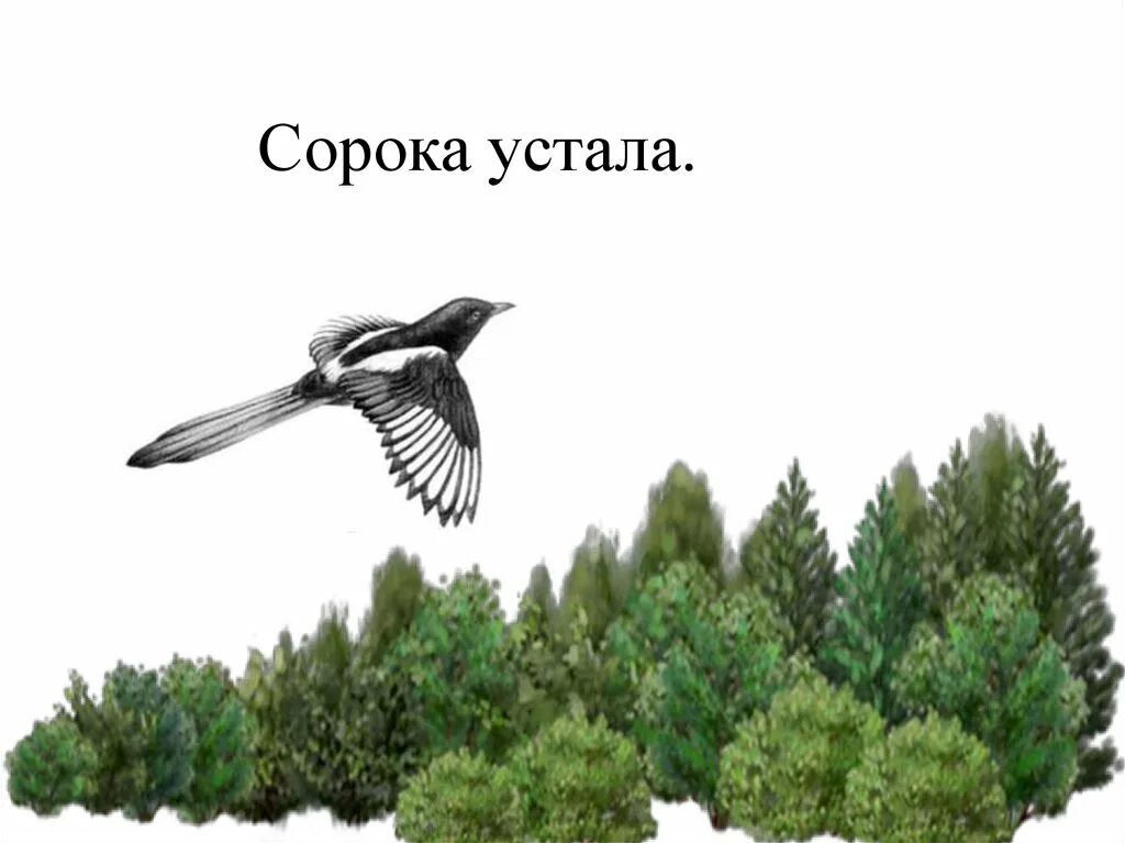 Полетели 40. Сорока летит. Сорока улетает. Летела сорока игра. Летело сорок сорок.