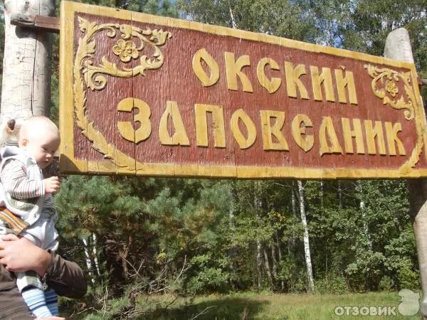 Проект 559б. Окский 26 рязань. Поселок окский. Окский заповедник рязань. Калуга ока теплоход.