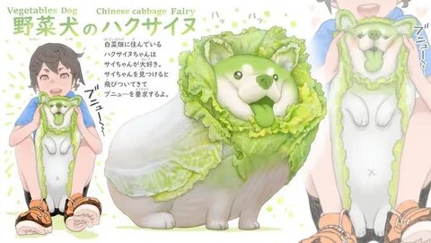 Dog vegetable