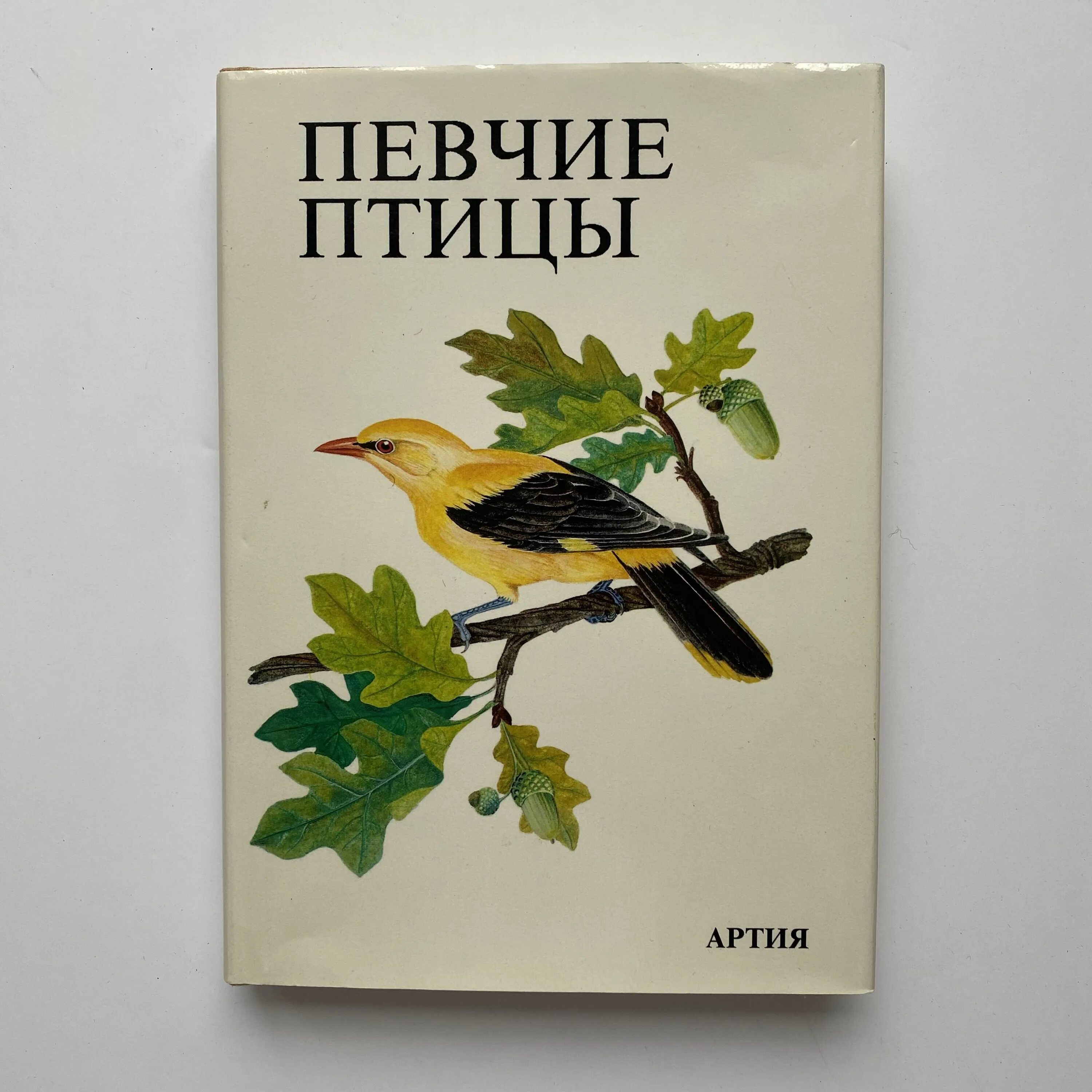 Балл певчих птиц и сонгнаков. Балл певчих птиц и сонгнаков