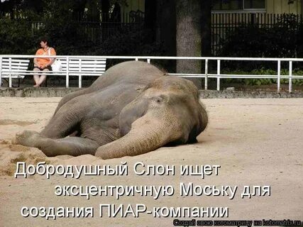 Хочу большой форум