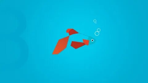 8 fish