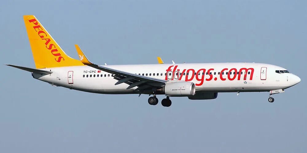 Pegasus airlines зарегистрироваться. Авиакомпания pegasus airlines. авиакомпания пегасус эйрлайнс. пегасус турция авиакомпания. pegasus airlines самолеты.
