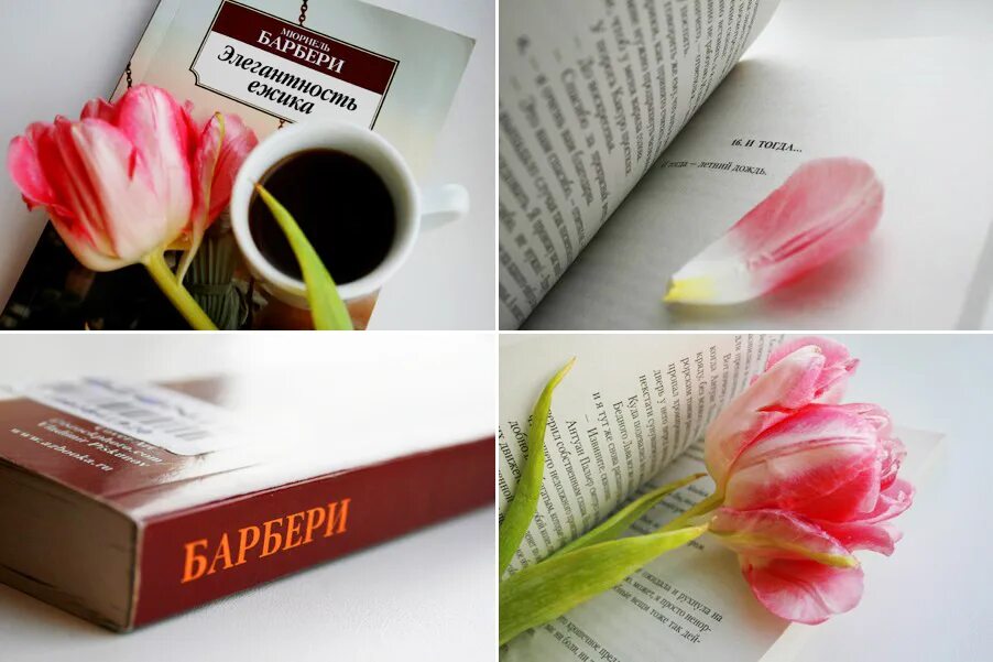 Барбери м. Барбери элегантность ежика отзывы. Элегантность ёжика книга. Только роза. Элегантность ёжика мюриель барбери книга.