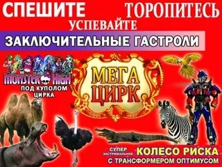 Цирк челябинск афиша март. Цирк Челябинск 2023. Товары Челябинск цирк. Маяк магазин цирк Челябинская область.