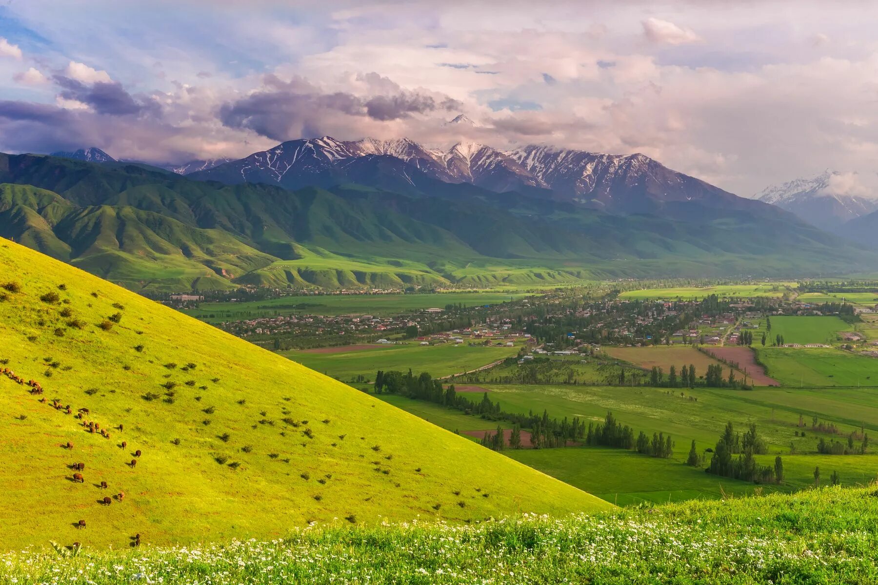 Киргизия в мае. Село Байтик Киргизия. Природа Кыргызстана. Горы Кыргызстана в мае.