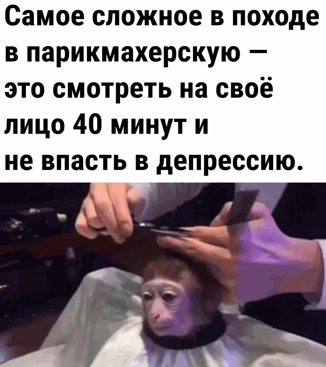 В понедельник парикмахерскую посетило 55 человек