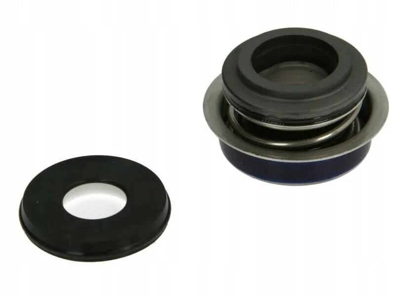 Торцевое уплотнение jet-100l. Lip seal уплотнение насоса. Уплотнение насоса водой. Торцевое уплотнение mg1/28 g60. М629 уплотнение торцевое ф12-ф26-20.