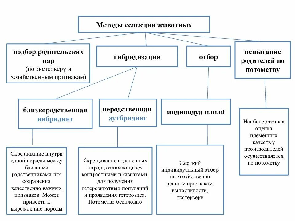 Хозяйственный отбор